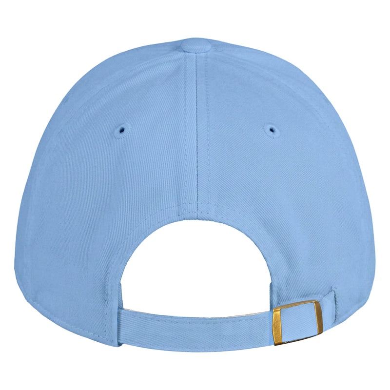 #color_light blue