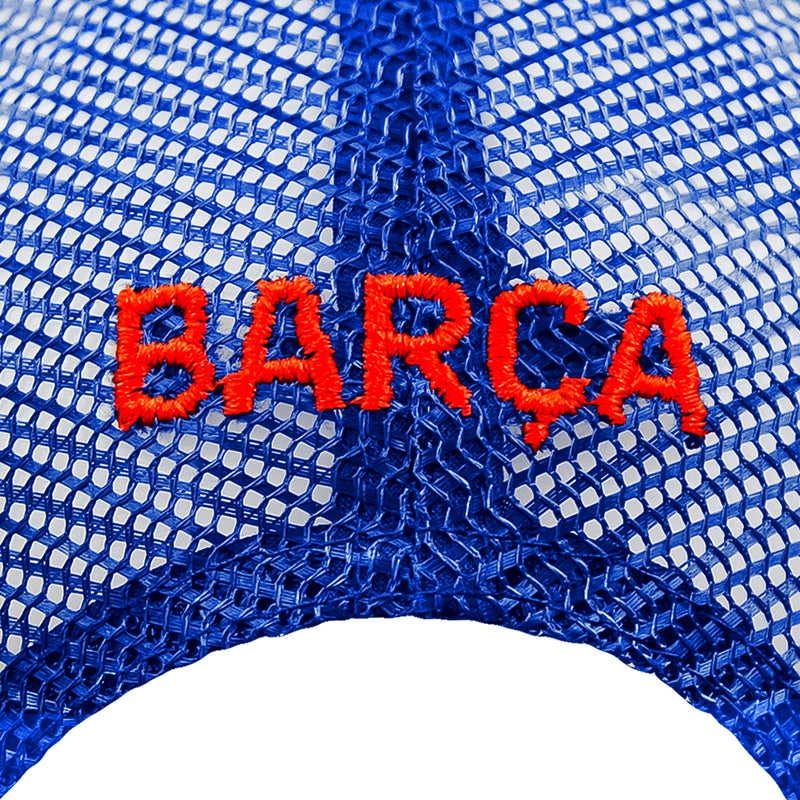 #color_blue