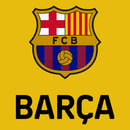 FC Barcelona Pullover Hoodie - FCB45PH