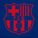 FC Barcelona Pullover Hoodie - FCB71PH