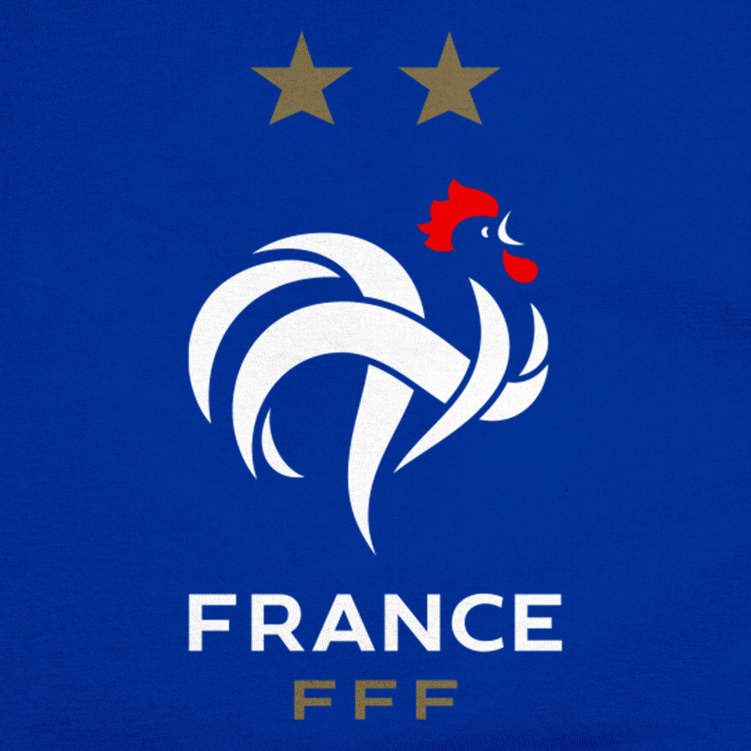 France Blue Shirt Detail 1
