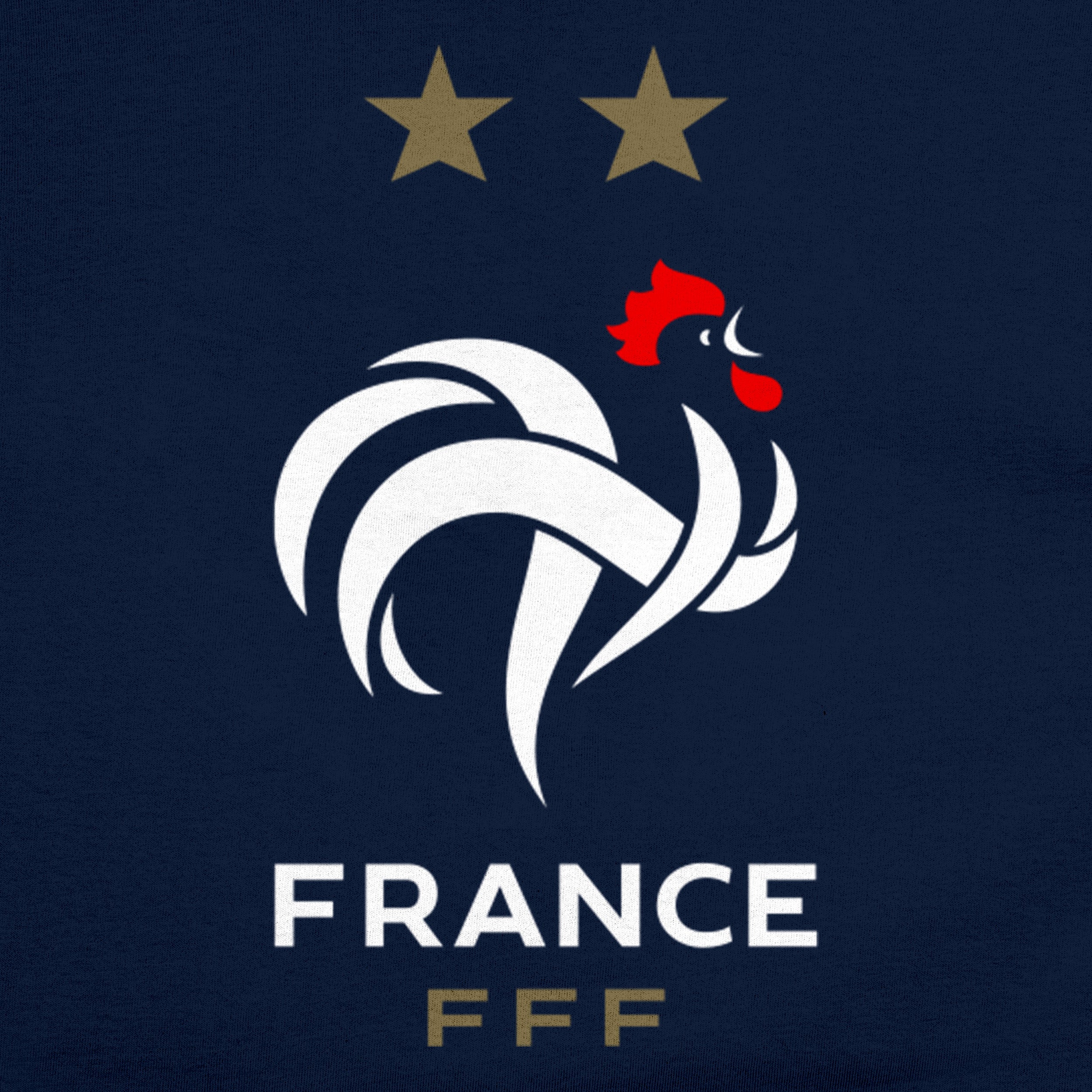 France Navy Shirt Detail 1