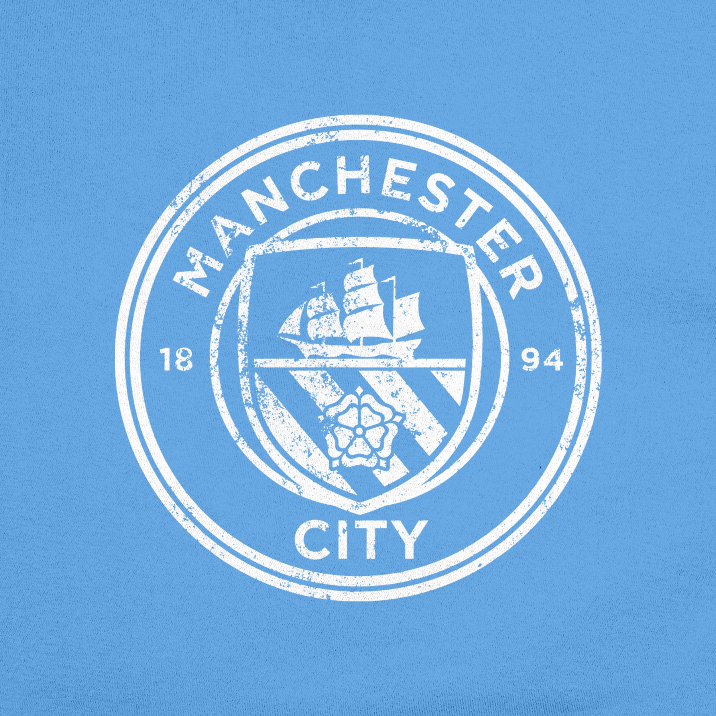 Manchester City Shirt Detail 1