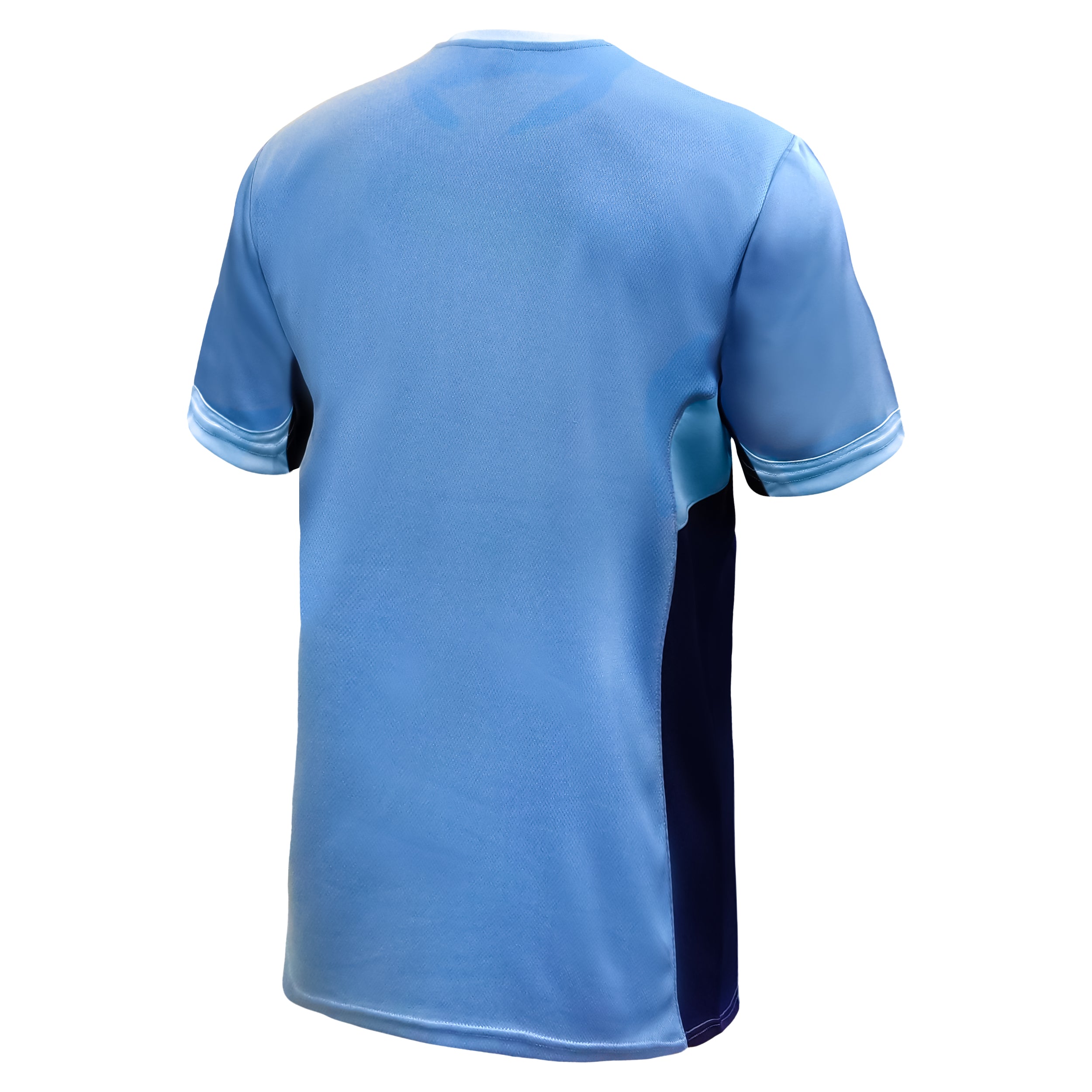 Manchester City Light Blue Shirt Back