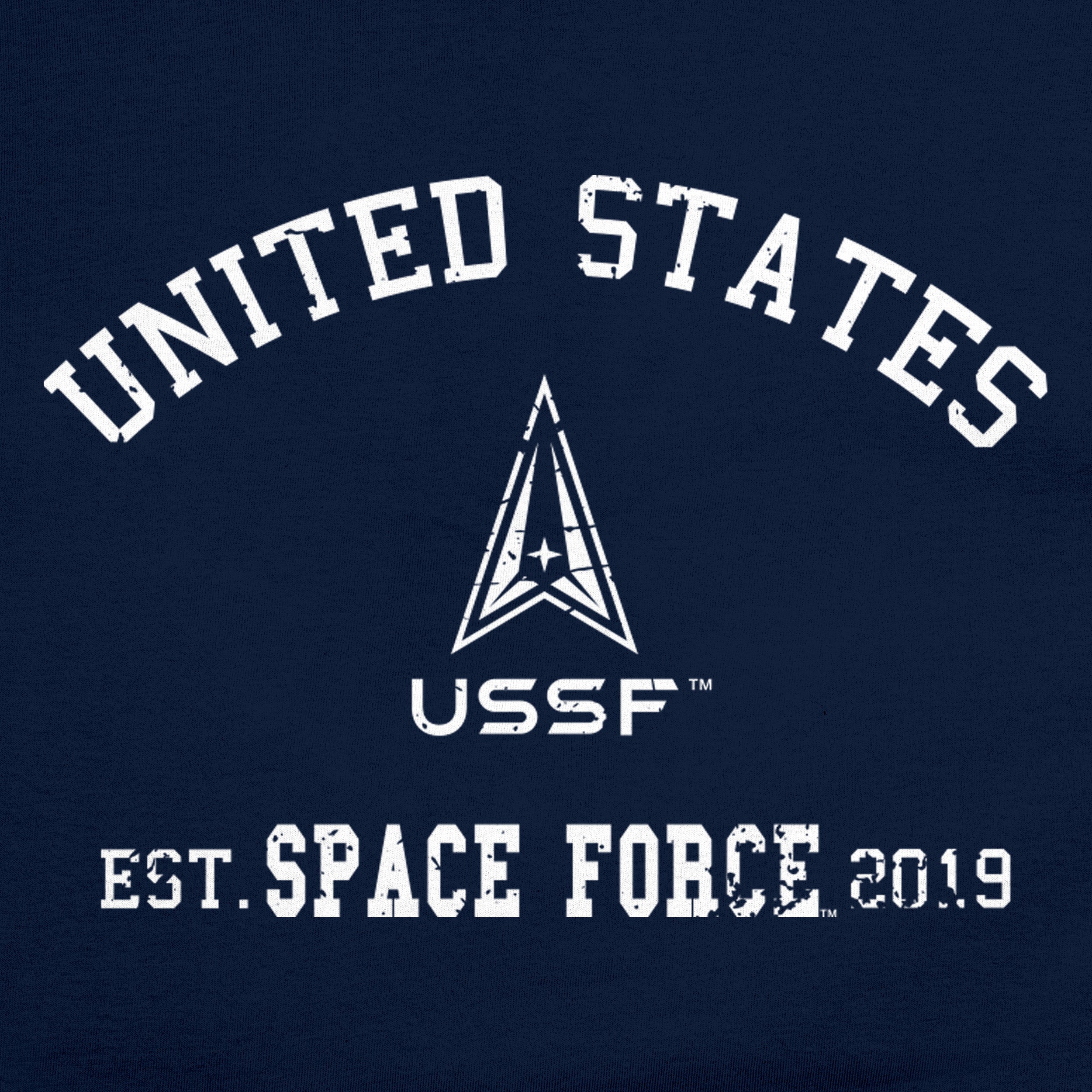 US Space Force T-Shirt Black Detail 1