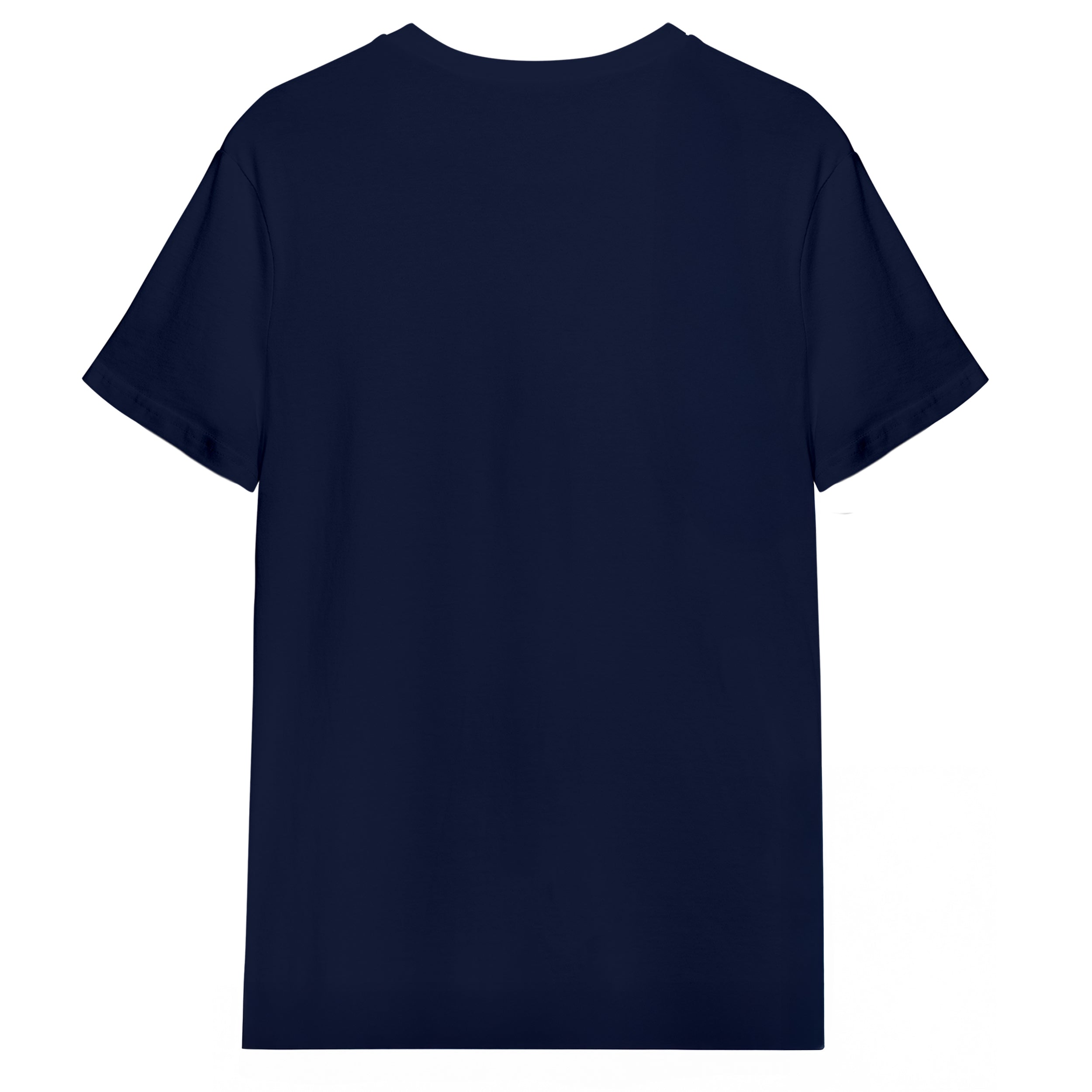 Tottenham Shirt Back
