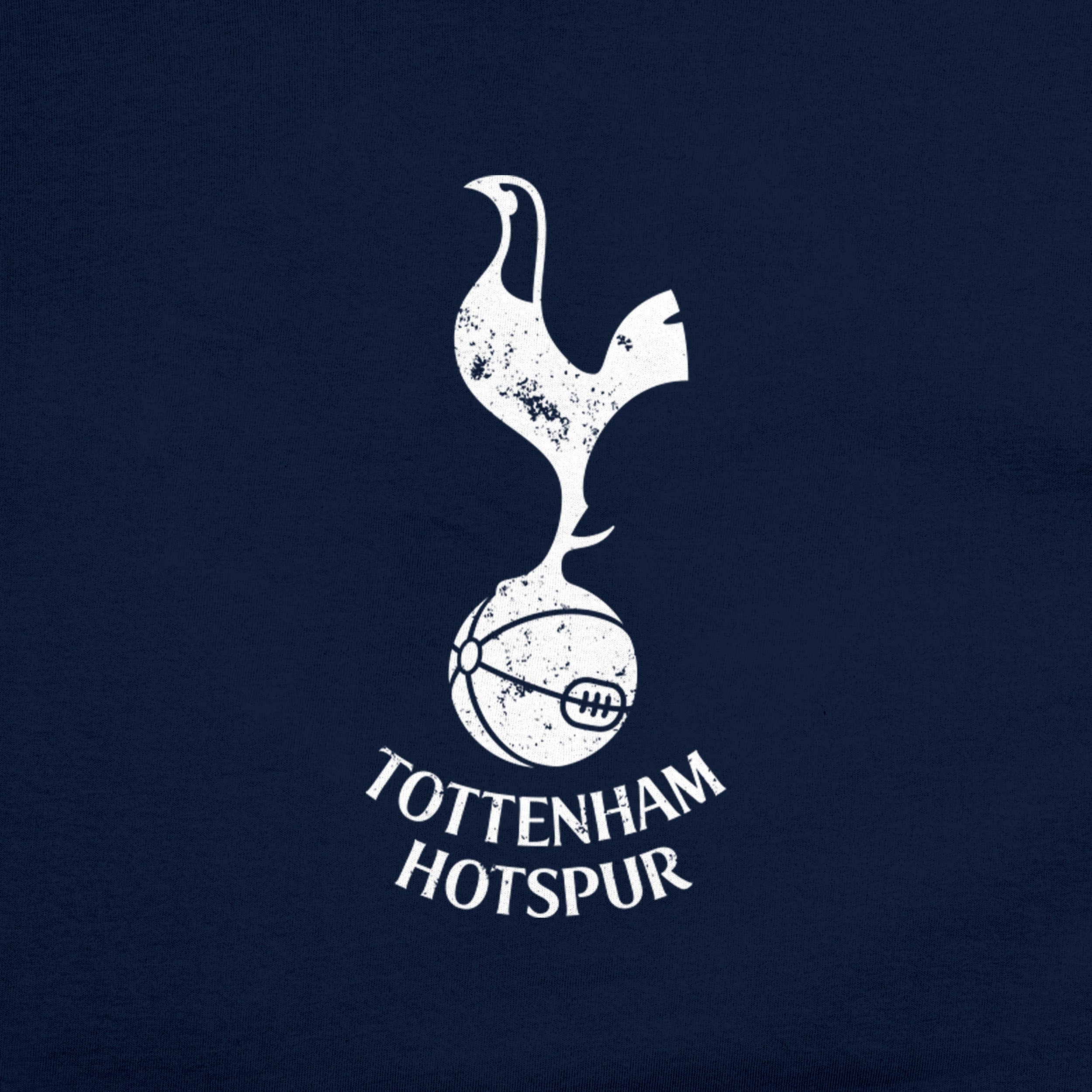 Tottenham Shirt Detail 1