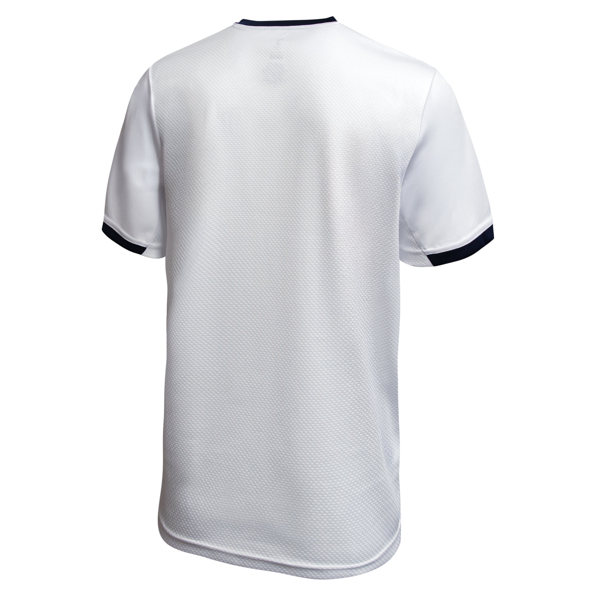 Tottenham Shirt Back