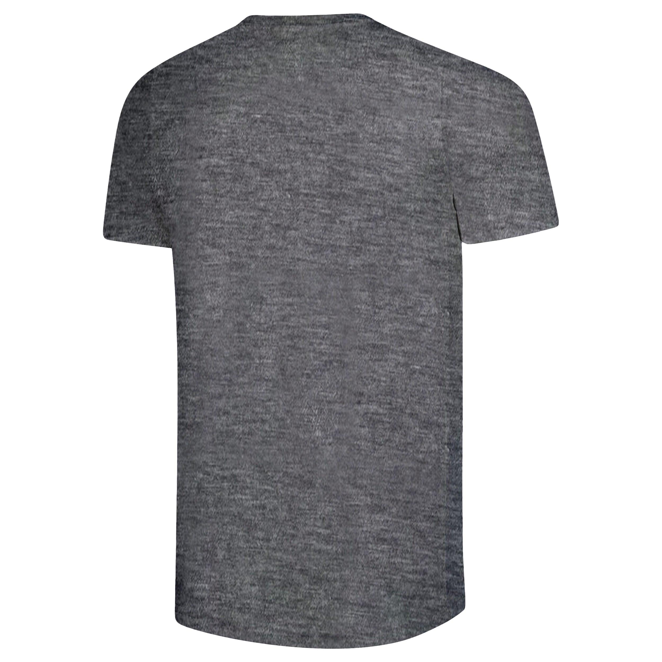 Tottenham Shirt Grey Back